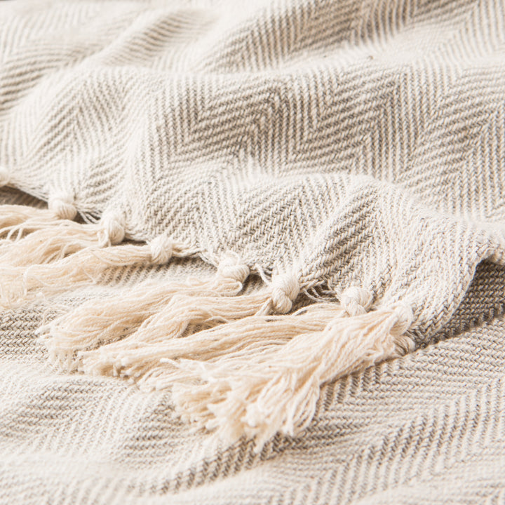 Jaipur Living Cannon Gray/ Cream Chevron Throw