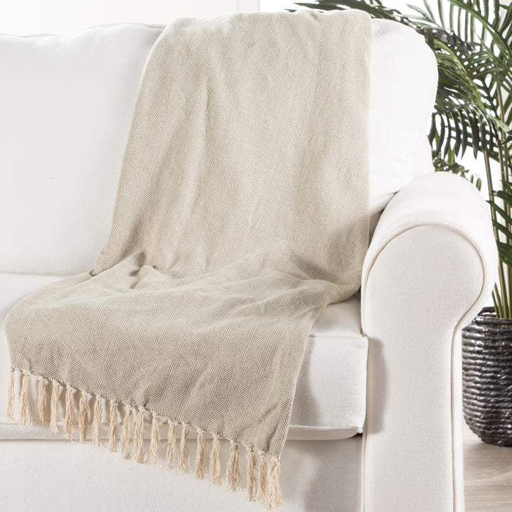 Jaipur Living Cannon Gray/ Cream Chevron Throw