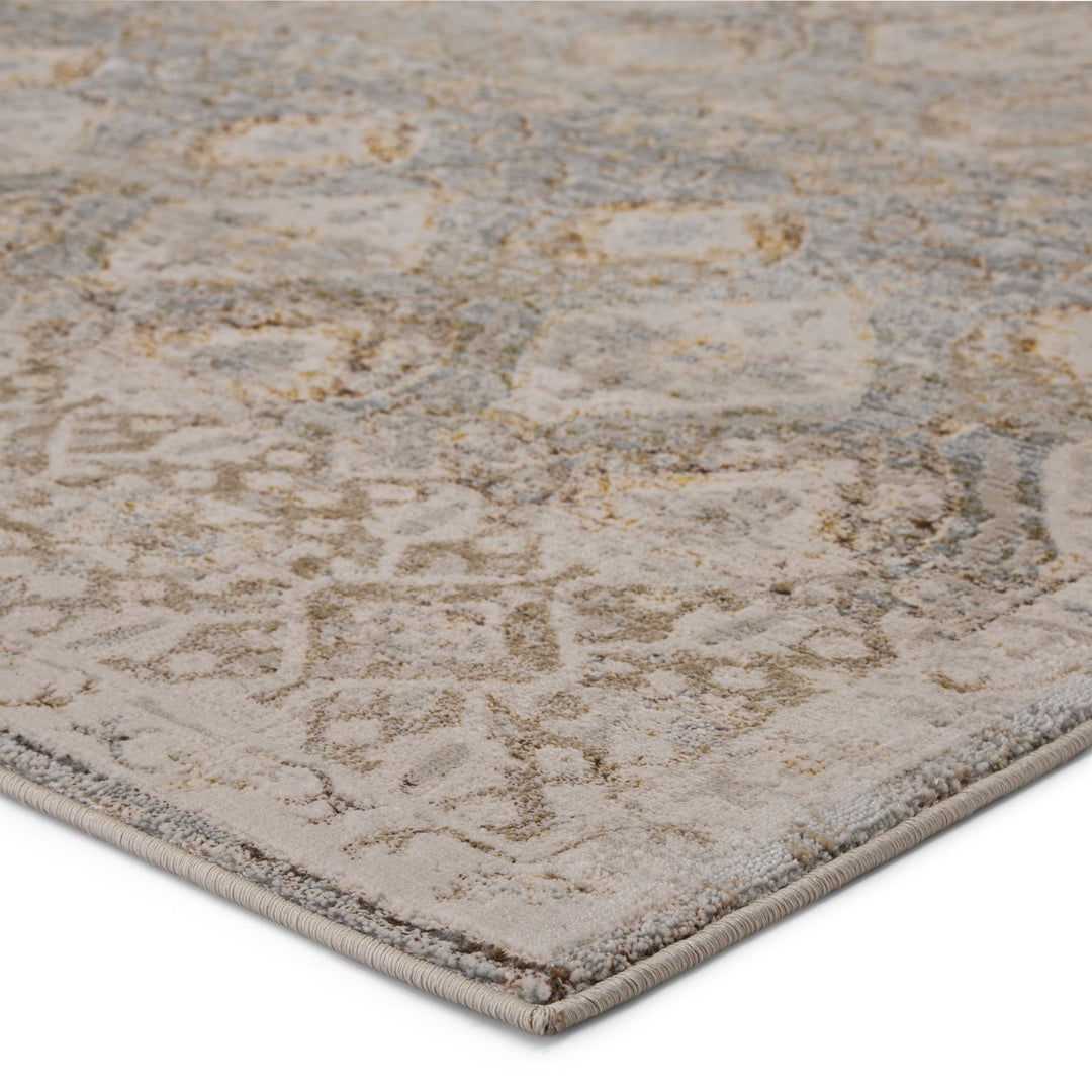 Vibe by Jaipur Living Hakeem Oriental Gray/ Gold Runner Rug (2'2"X8')