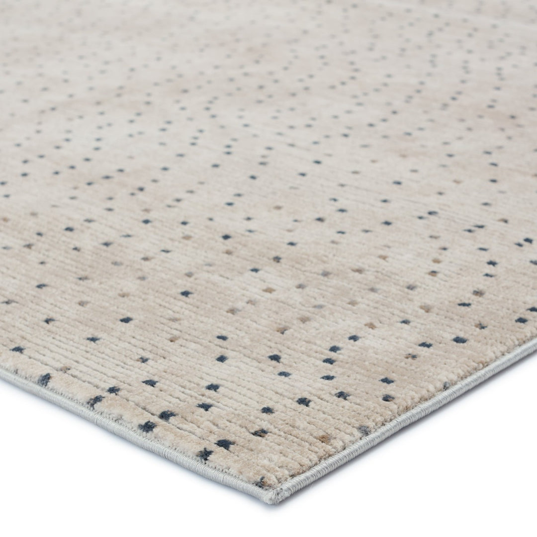 Jaipur Living Melora Dots Beige/ Gray Runner Rug (2'6"X10')