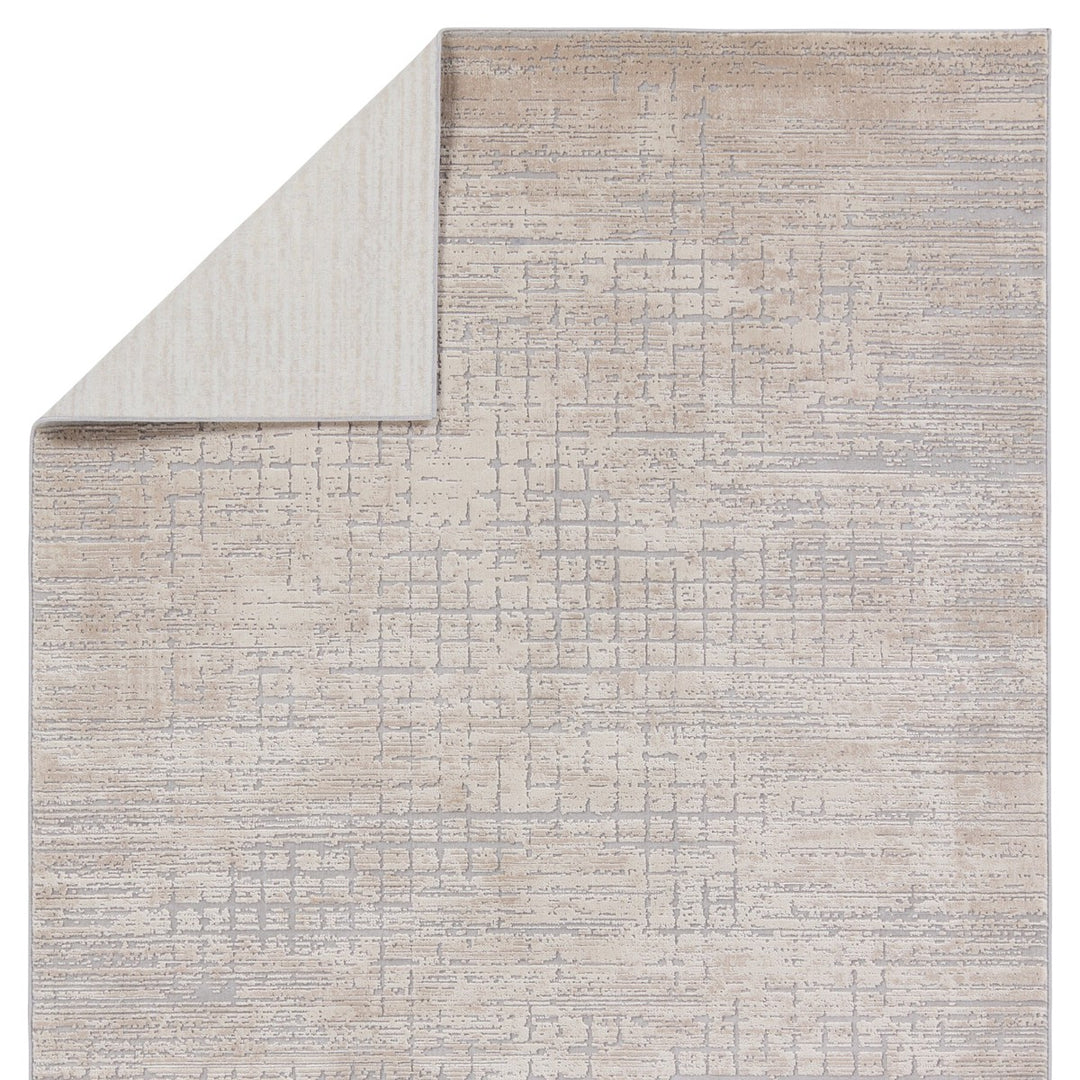 Jaipur Living Chamisa Abstract Beige/ Gray Area Rug (10'X14')