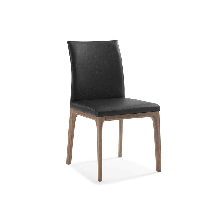 Stella Dining Chair-Whiteline Modern Living-WHITELINE-DC1454-GRY/TAU-Dining ChairsGray oak and Taupe-3-France and Son