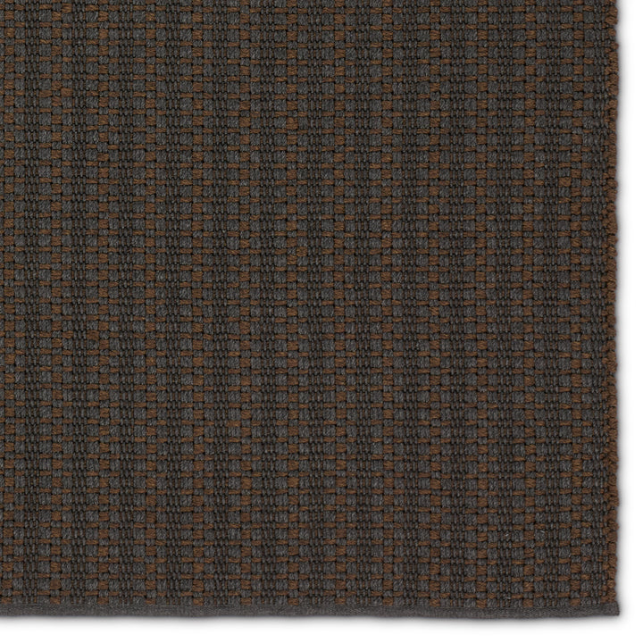 Jaipur Living Elmas Handmade Indoor/Outdoor Striped Gray/Brown Area Rug (4'X6')