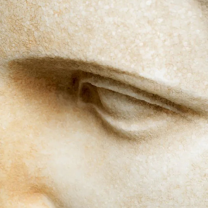 Bust of a youth marble