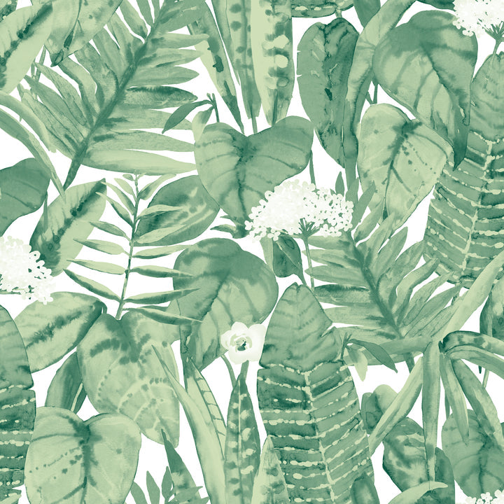 Tropical Peel And Stick Wallpaper-Tempaper & Co.-Tempaper-TR562-Wall PaperJungle Green-1-France and Son