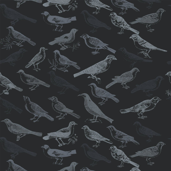 Tweeter Wallpaper-Mitchell Black-MITCHB-WC323-1-PM-10-Wall DecorPatterns Black-Premium Matte Paper-1-France and Son