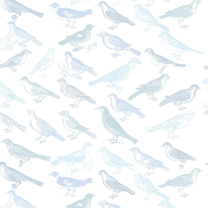 Tweeter Wallpaper-Mitchell Black-MITCHB-WC323-2-PM-10-Wall DecorPatterns Blue-Premium Matte Paper-2-France and Son