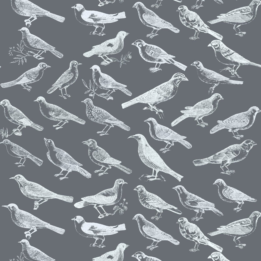 Tweeter Wallpaper-Mitchell Black-MITCHB-WC323-3-PM-10-Wall DecorPatterns Gray-Premium Matte Paper-3-France and Son