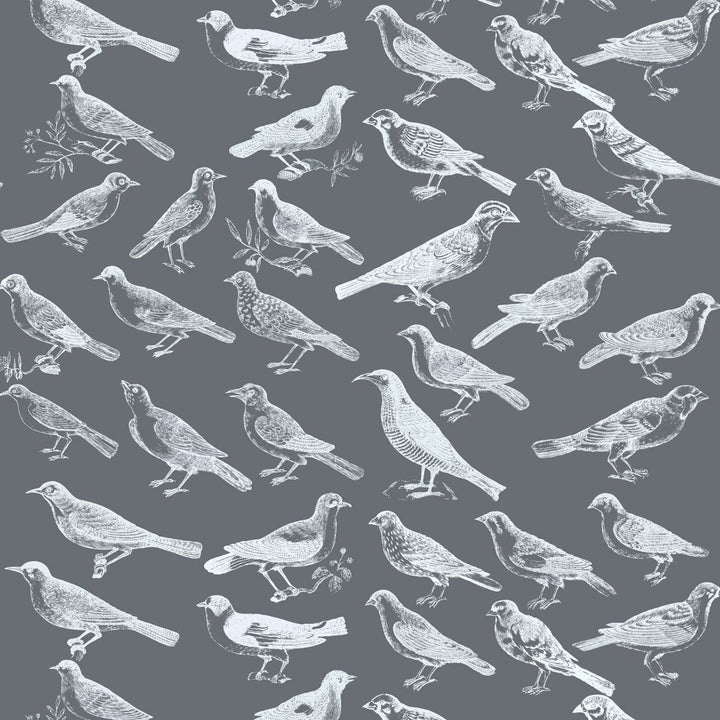 Tweeter Wallpaper-Mitchell Black-MITCHB-WC323-3-PM-10-Wall DecorPatterns Gray-Premium Matte Paper-3-France and Son