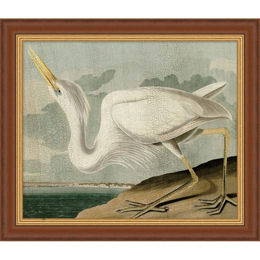 Wall Art Egret Audubon 1 (Limited Edition Frame)