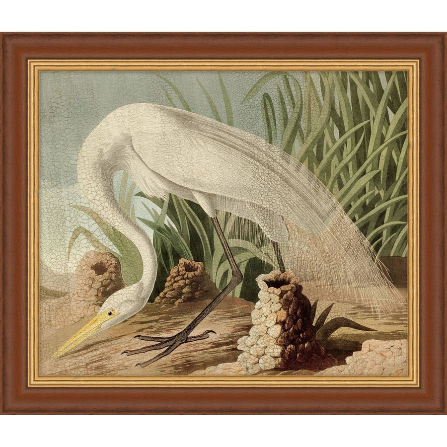 Wall Art Egret Audubon 2 (Limited Edition Frame)