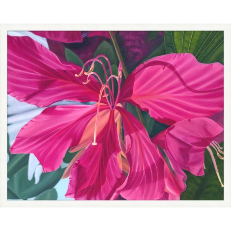 Orchid Bloom-Wendover-WEND-WFL2017-Wall Art-1-France and Son