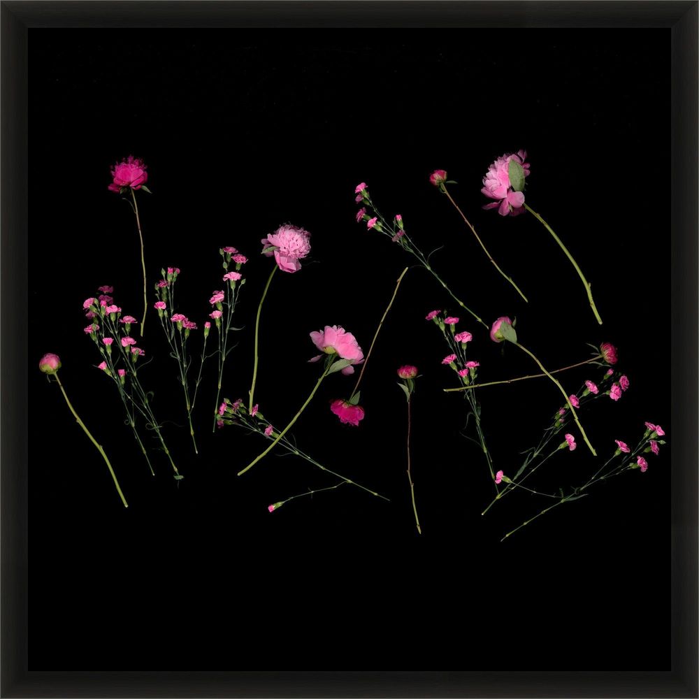 Wall Art Petal Mirage Gallery Wall 6
