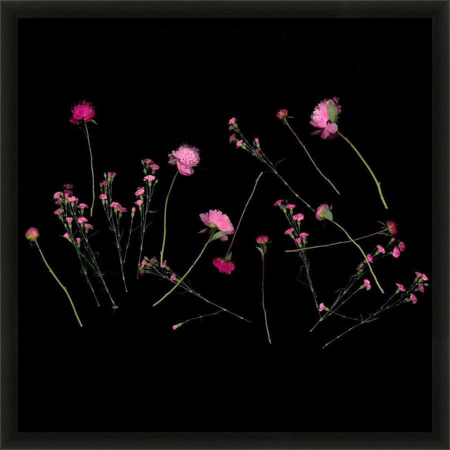 Wall Art Petal Mirage Gallery Wall 6