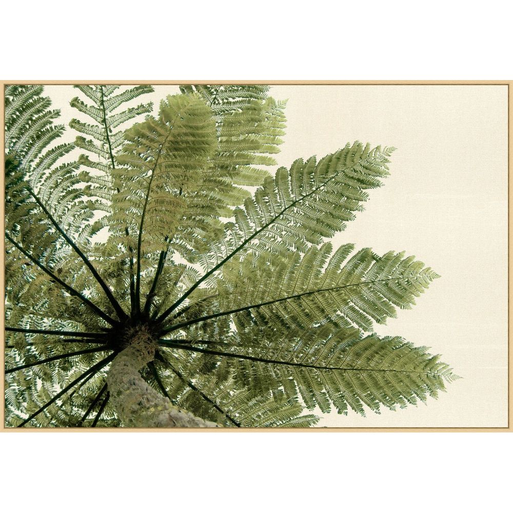 Wall Art Palm Perspective
