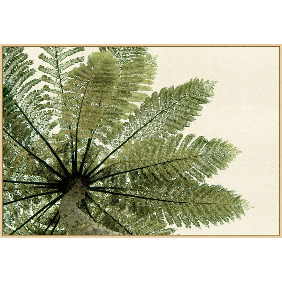 Wall Art Palm Perspective