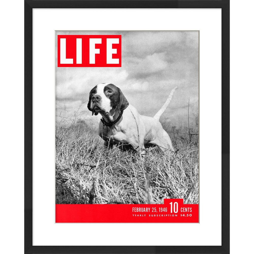 Wall Art LIFE Cover- February 25, 1946
