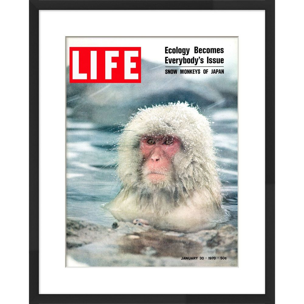 Wall Art LIFE Cover- January 30, 1970