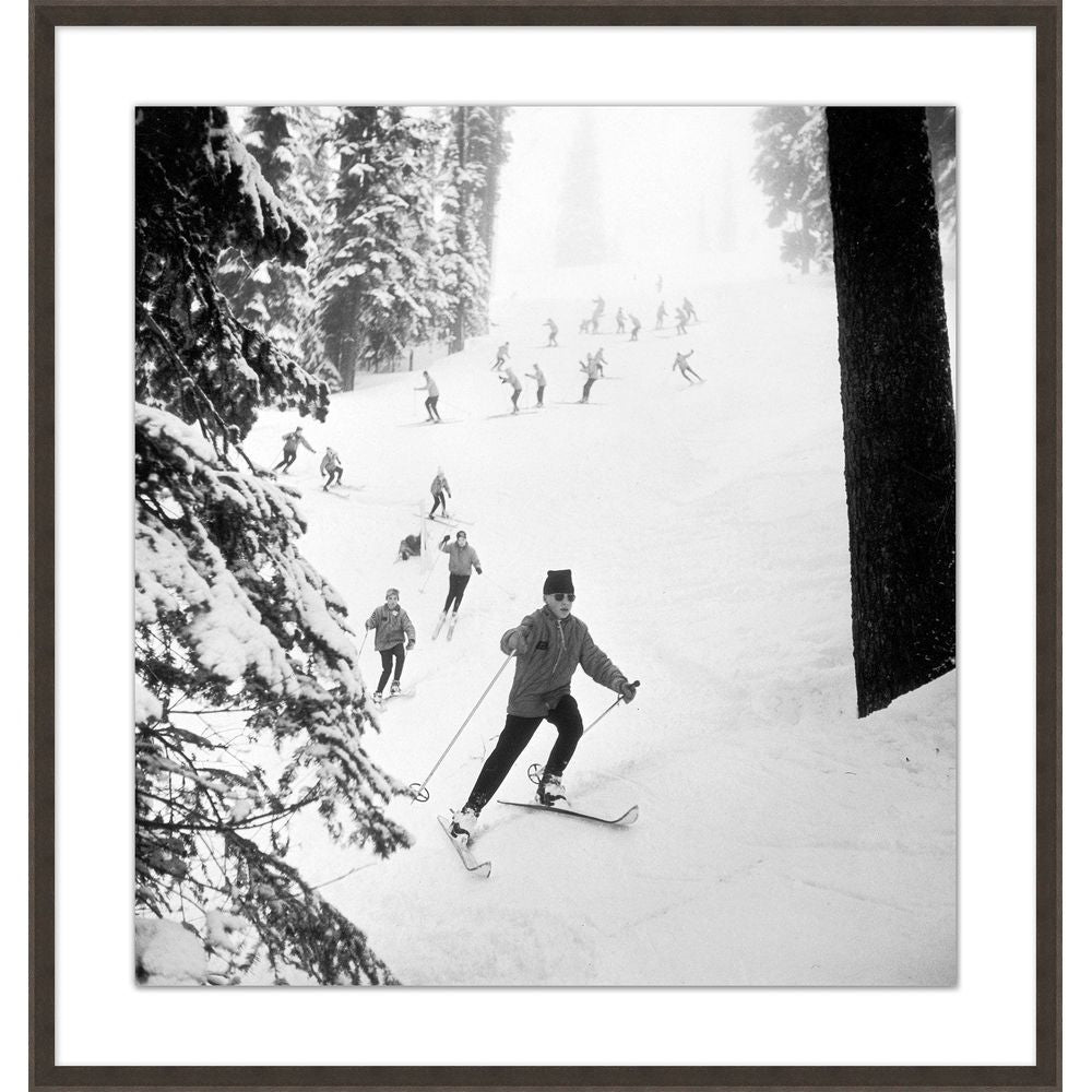 Wall Art Leading the Pack