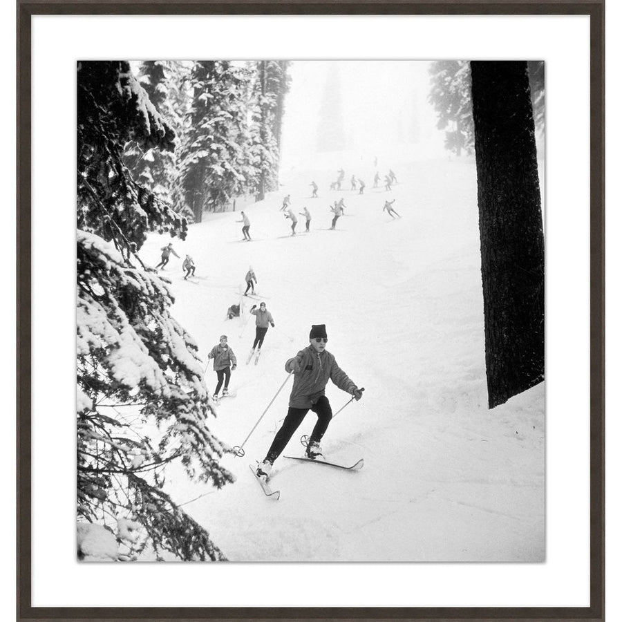 Wall Art Leading the Pack