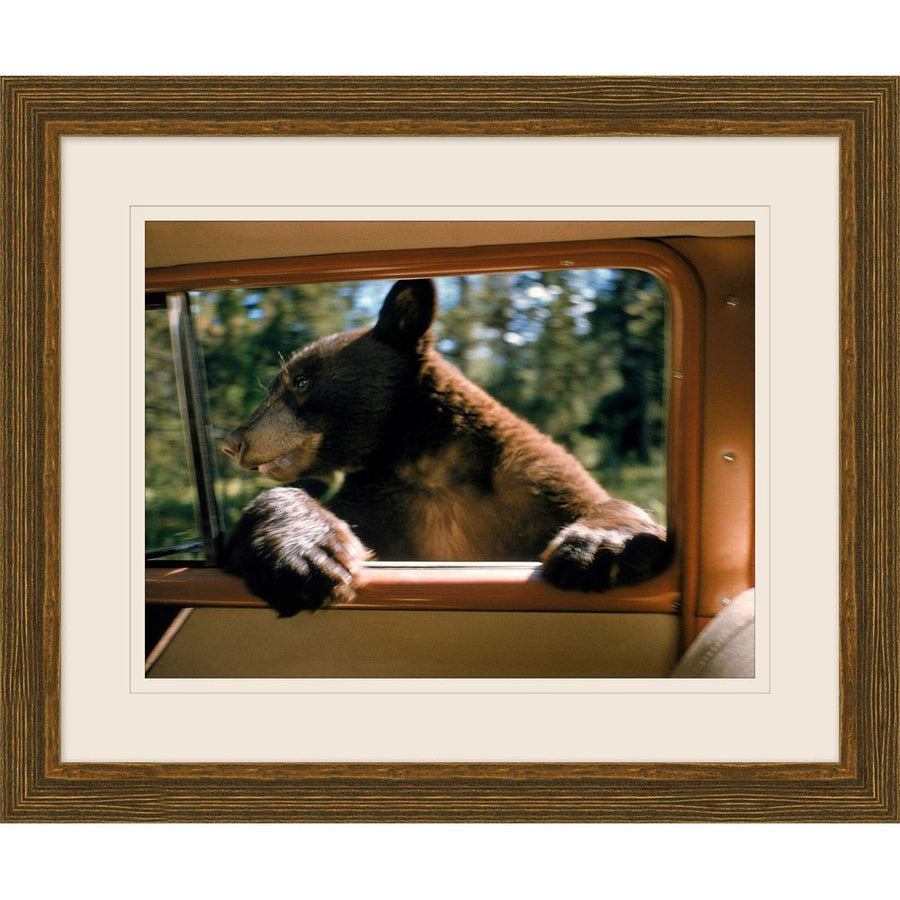 Wall Art Bear Along for the Ride