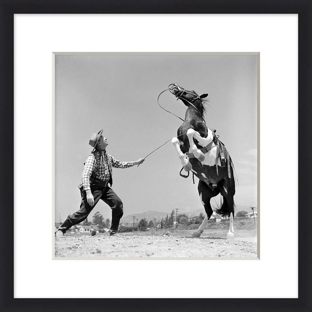 Wall Art Lassos Up 1