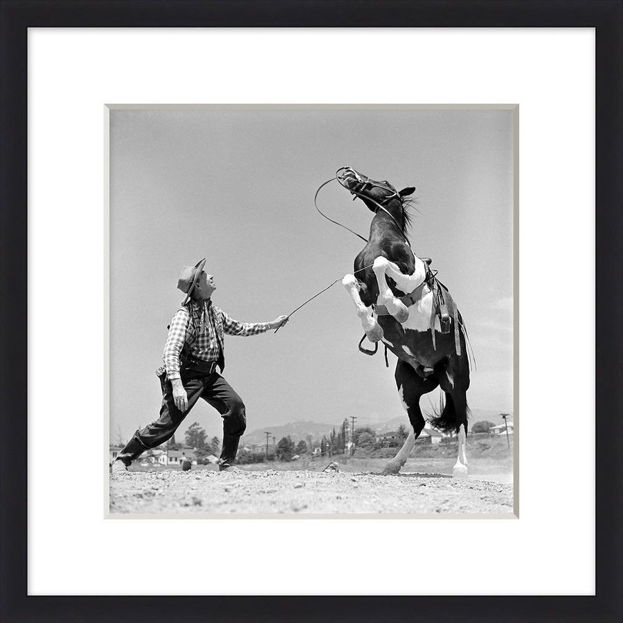 Wall Art Lassos Up 1