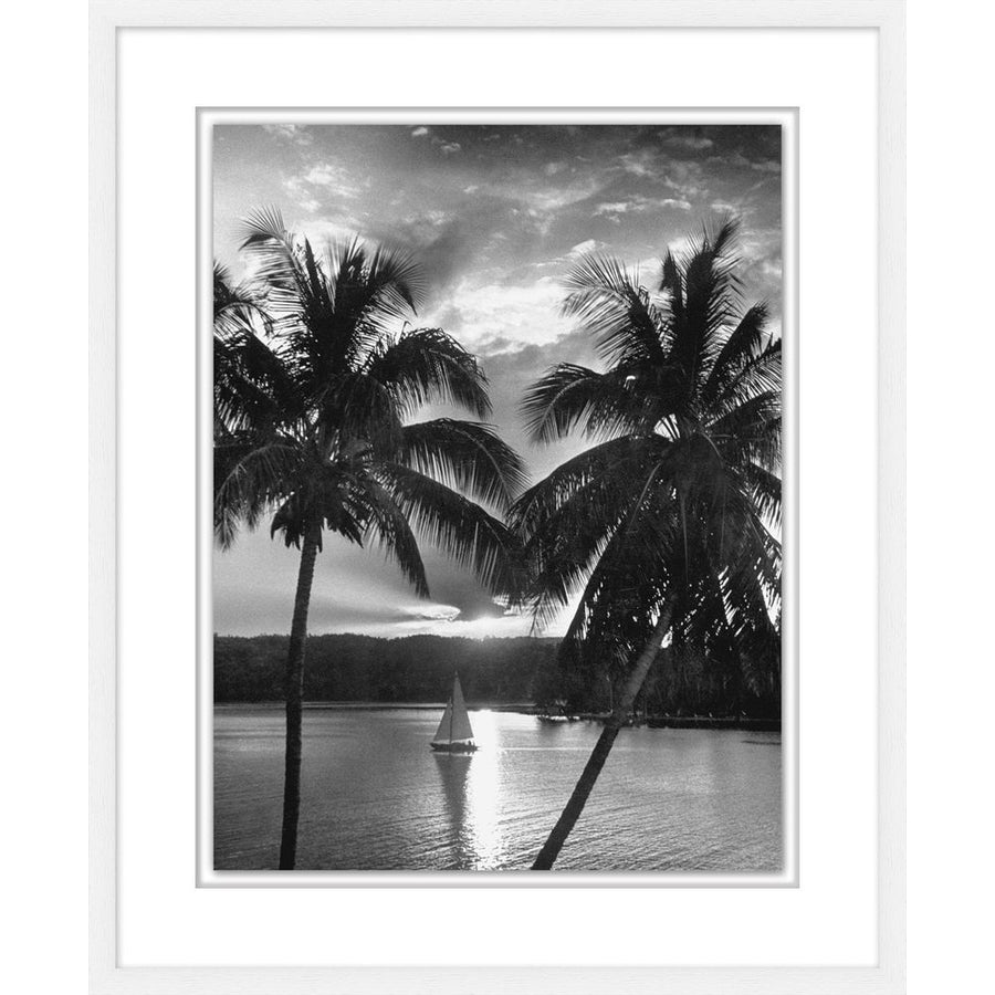 Wall Art Tropical Palm Alcove 1