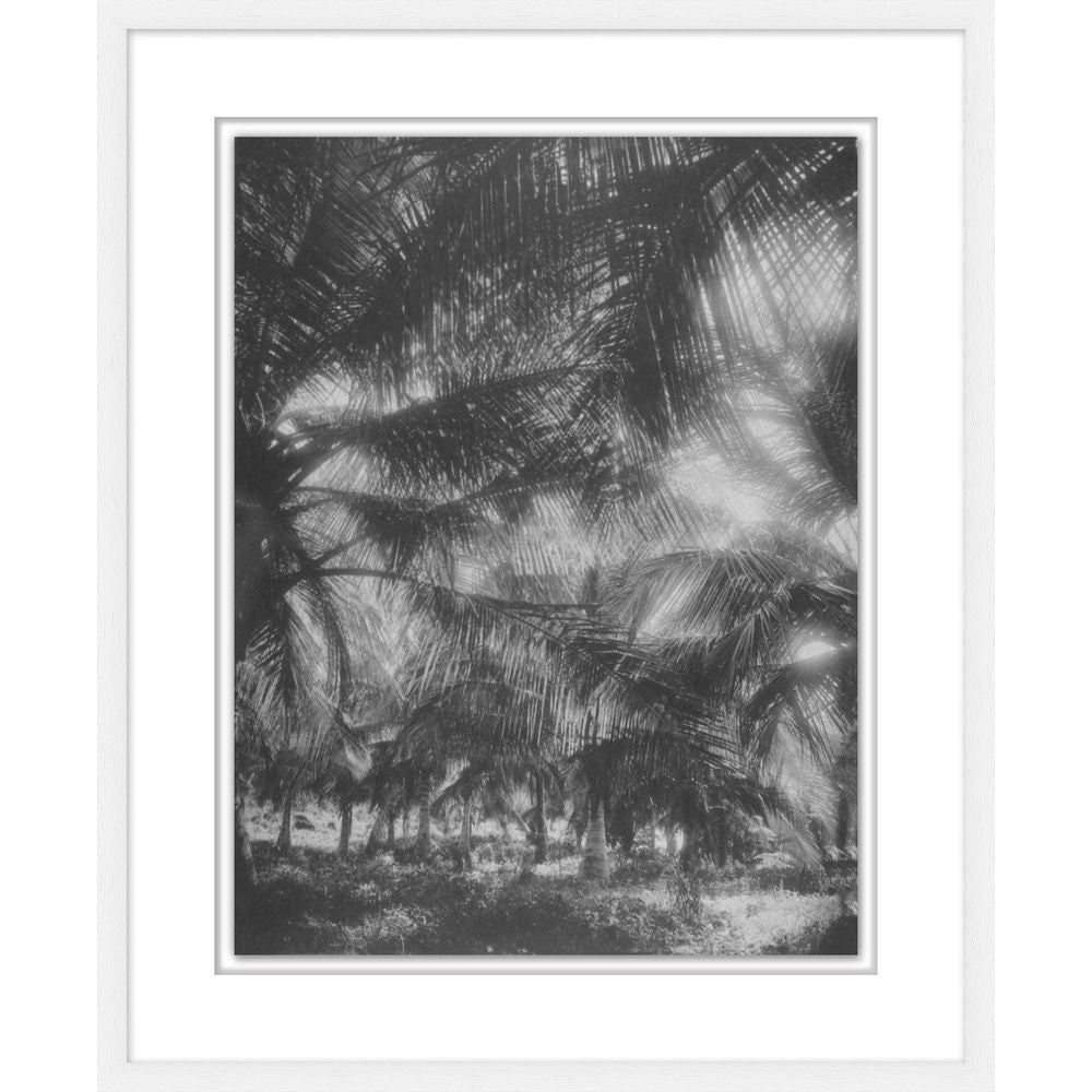 Wall Art Tropical Palm Alcove 2