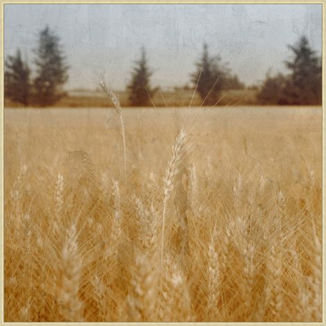 Wheat Field at Dusk-Wendover-WEND-WPH1950-Wall Art-1-France and Son