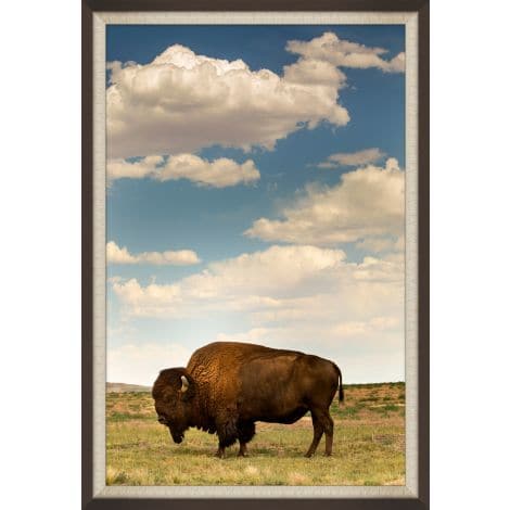 Buffalo Sky-Wendover-WEND-WPH2026-Wall Art-1-France and Son