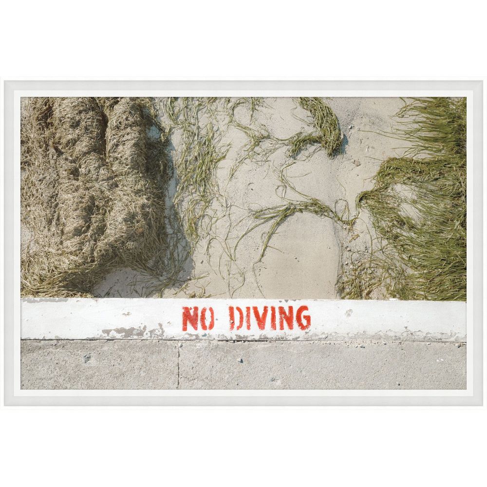 Wall Art No Diving