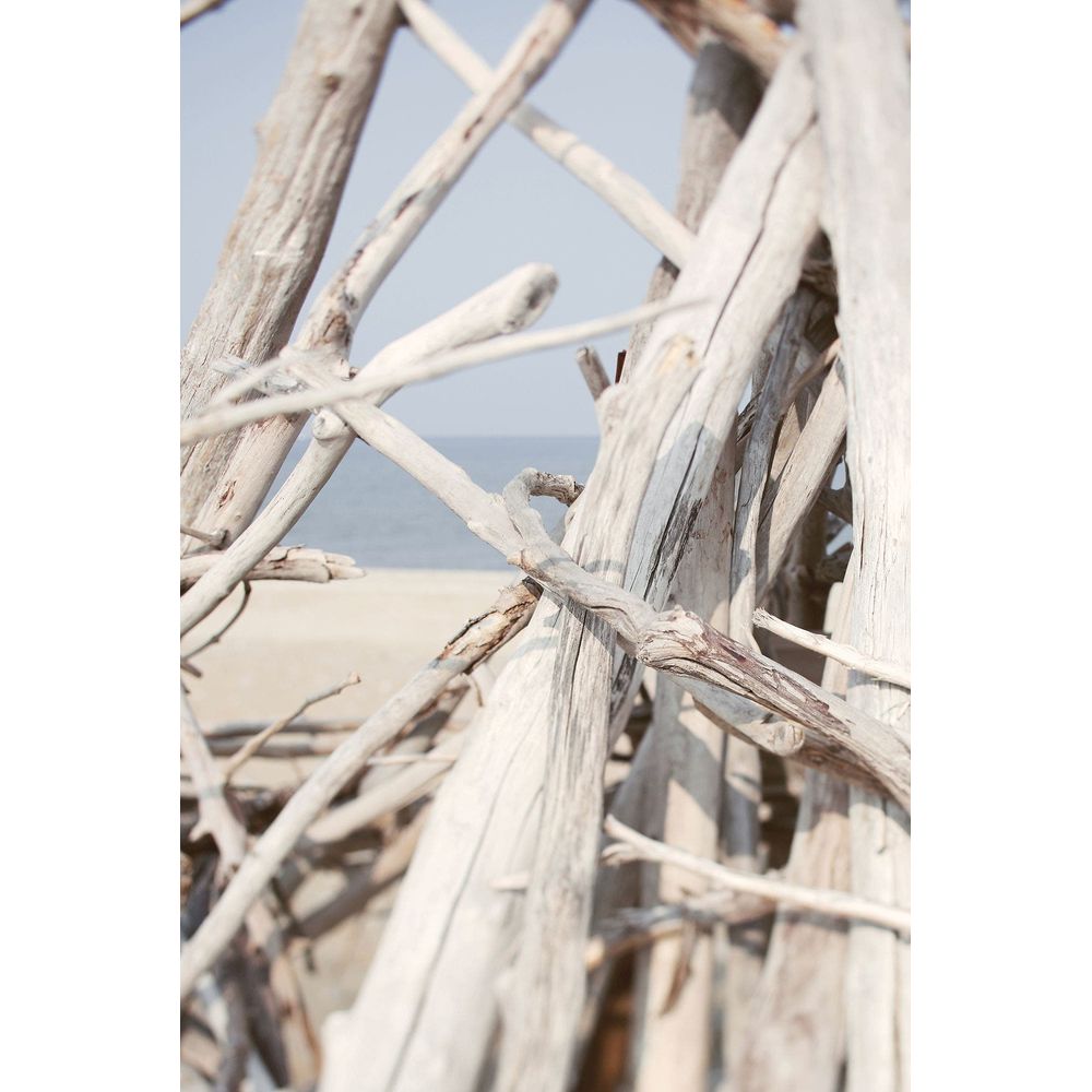 Wall Art Driftwood Shore
