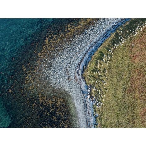 Aerial Shoreline-Wendover-WEND-WTFH1181-Wall Art2-2-France and Son