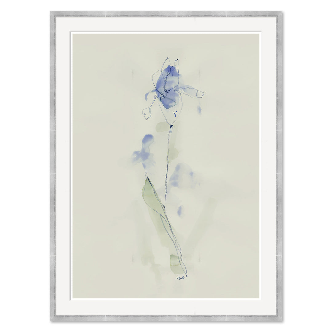 Iris by Soicher Marin
