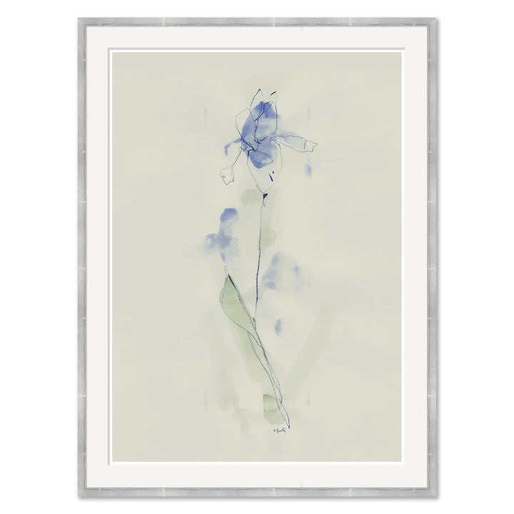 Iris by Soicher Marin