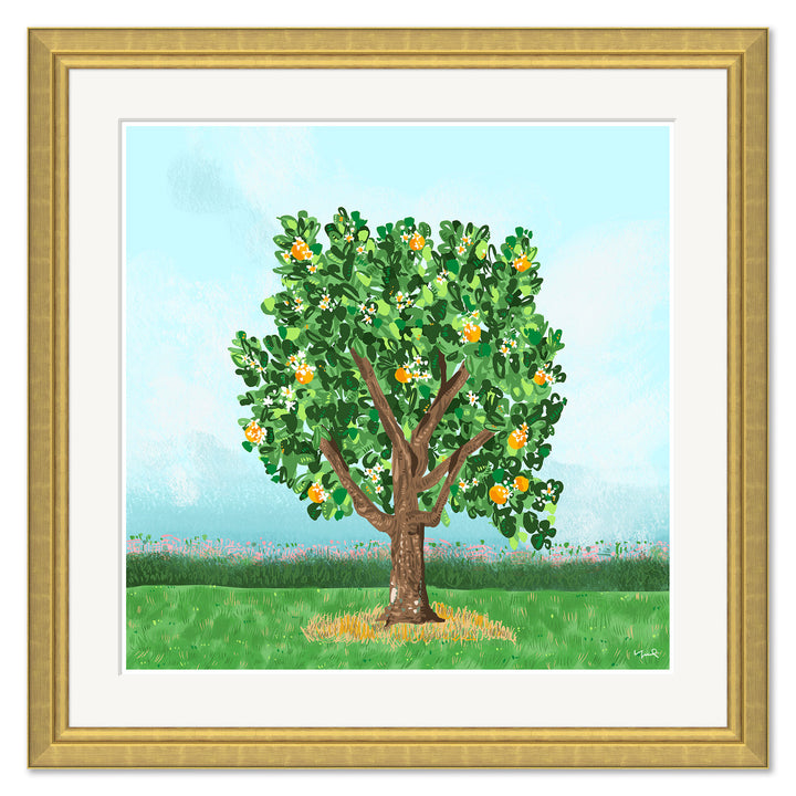 Orange Blossoms by Soicher Marin
