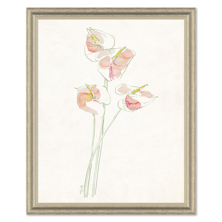 Anthuriums II by Soicher Marin