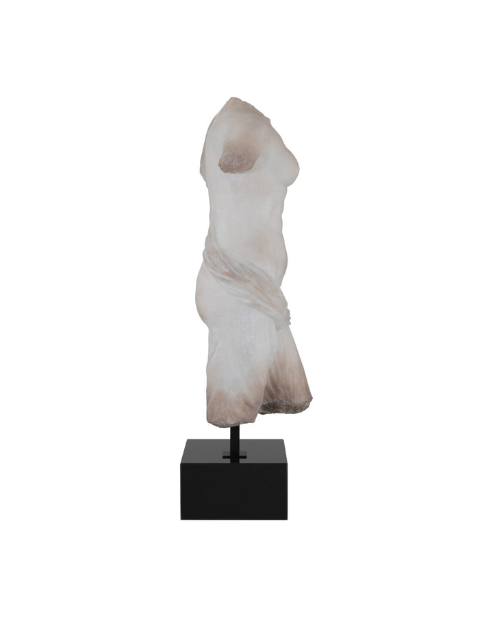 Cyprus Torso on Metal Stand