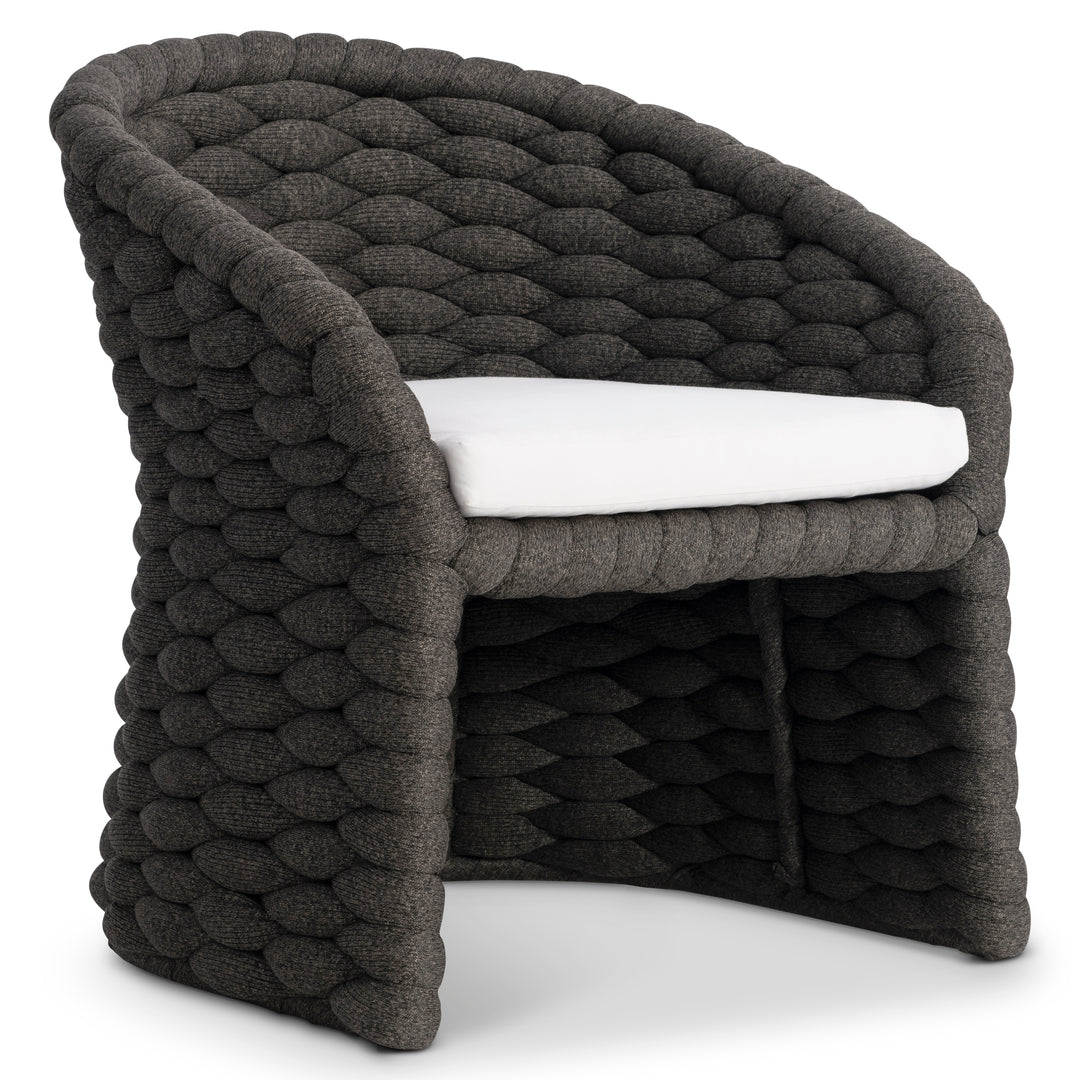 Salinas Arm Chair