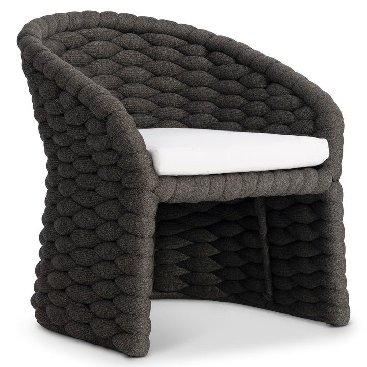 Salinas Arm Chair