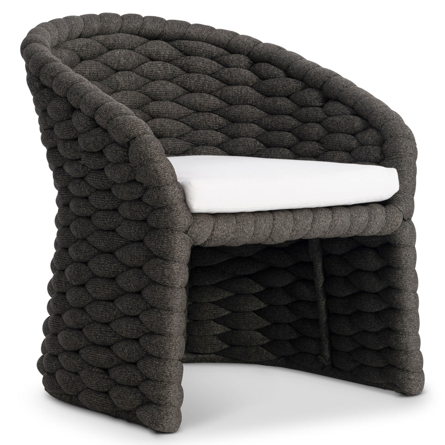 Salinas Arm Chair
