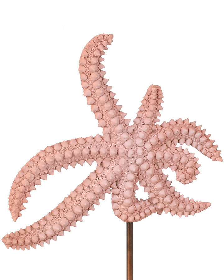 Decorative Objects Starfish Set of 2