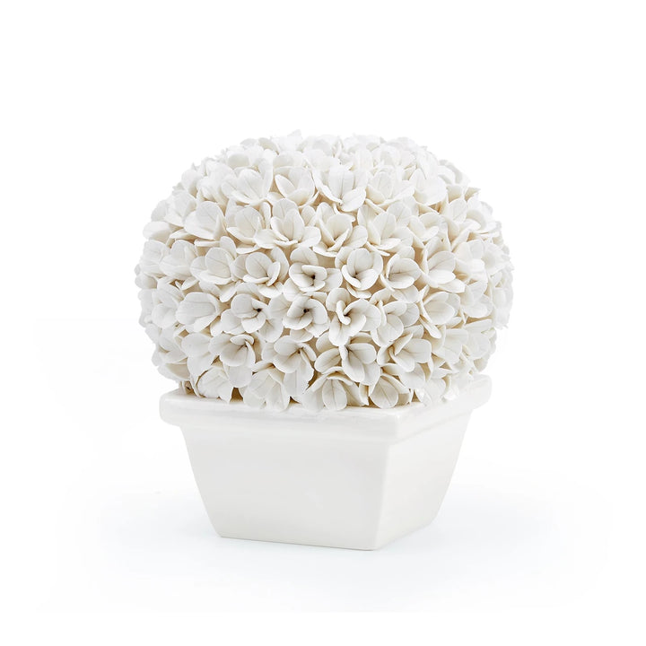 Boston Round Boxwood Topiary, Blanc de Chine