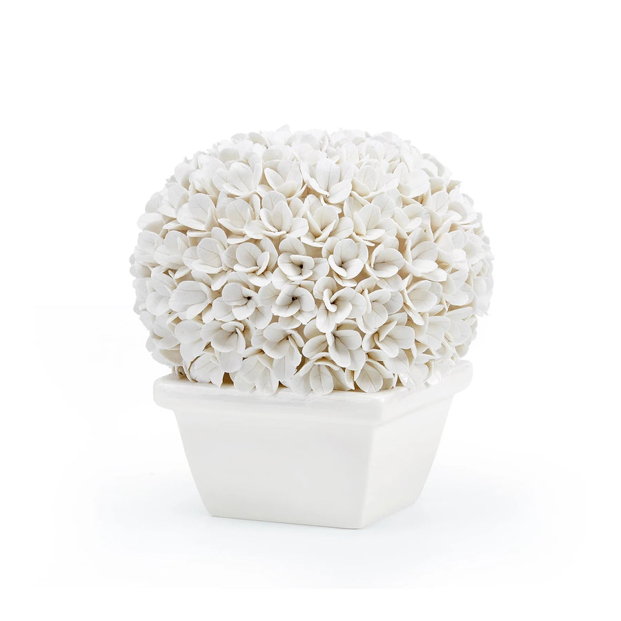 Boston Round Boxwood Topiary, Blanc de Chine