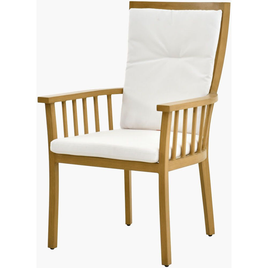 Dining Chairs Cape Town Dining Chair