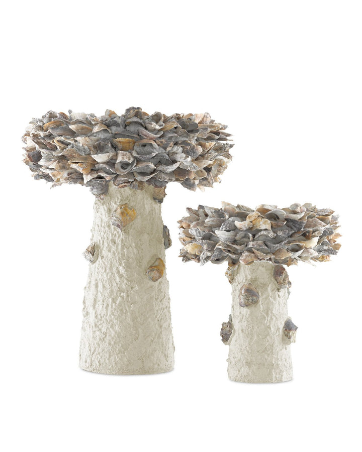 Oyster Shell Medium Bird Bath