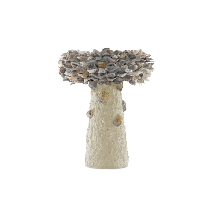 Oyster Shell Medium Bird Bath