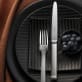 Serving Spoon Commodore Silver Plated Serving Utensil