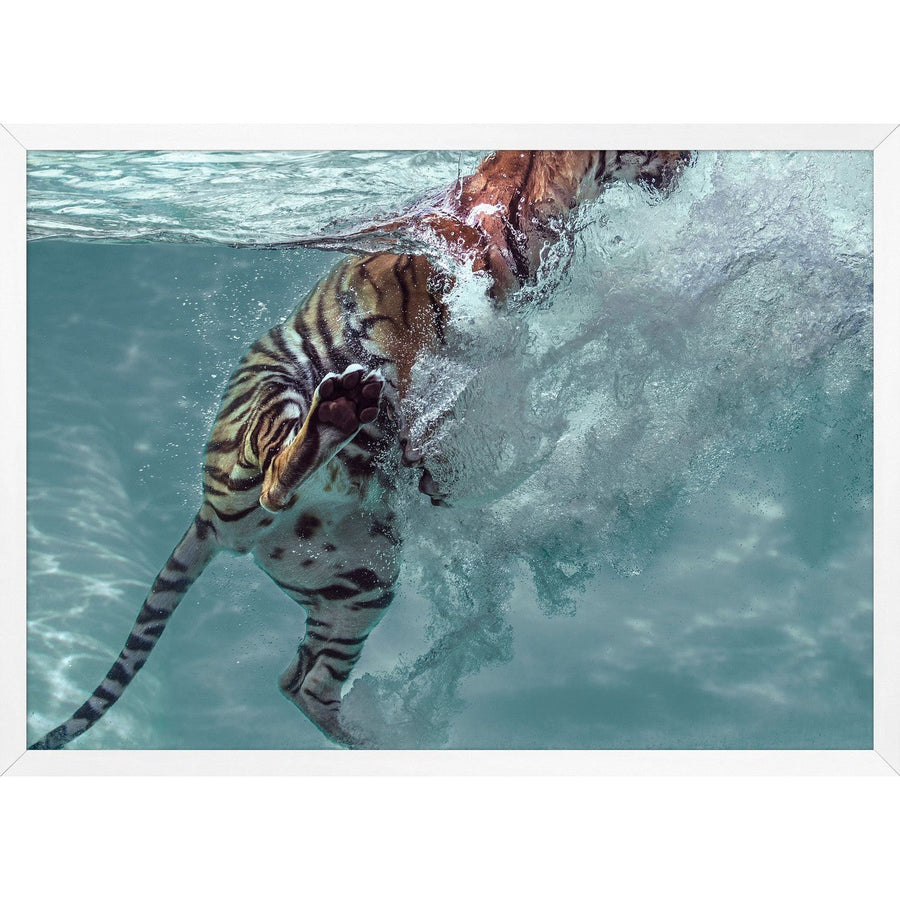 Tiger Swim 1-Wendover-WEND-WCON012-Wall Art-1-France and Son